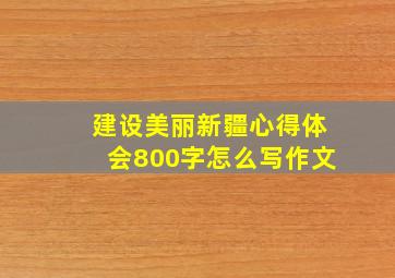 建设美丽新疆心得体会800字怎么写作文