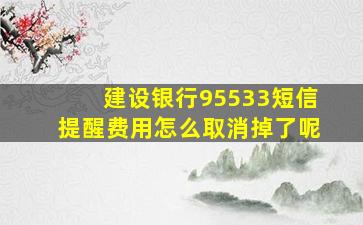 建设银行95533短信提醒费用怎么取消掉了呢