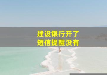 建设银行开了短信提醒没有