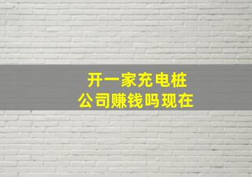 开一家充电桩公司赚钱吗现在