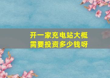 开一家充电站大概需要投资多少钱呀