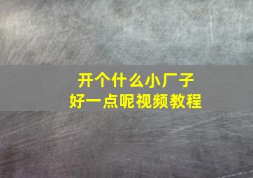 开个什么小厂子好一点呢视频教程