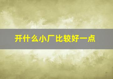 开什么小厂比较好一点