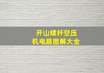 开山螺杆空压机电路图解大全