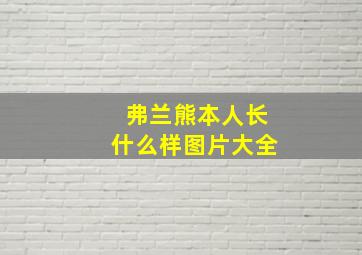 弗兰熊本人长什么样图片大全