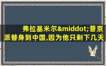 弗拉基米尔·普京派替身到中国,因为他只剩下几天了