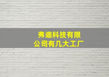 弗迪科技有限公司有几大工厂