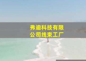 弗迪科技有限公司线束工厂