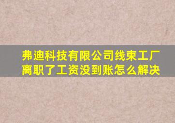 弗迪科技有限公司线束工厂离职了工资没到账怎么解决