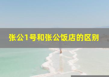 张公1号和张公饭店的区别