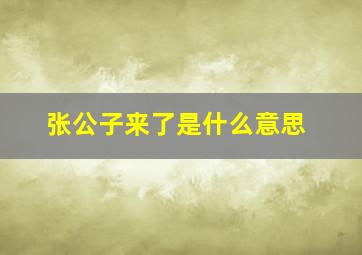 张公子来了是什么意思