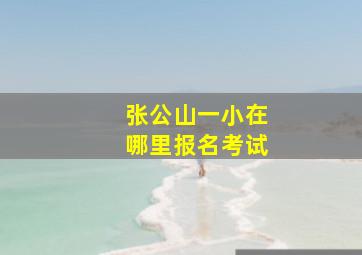 张公山一小在哪里报名考试