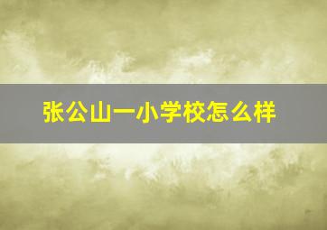 张公山一小学校怎么样