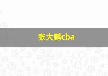 张大鹏cba