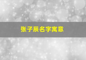 张子辰名字寓意