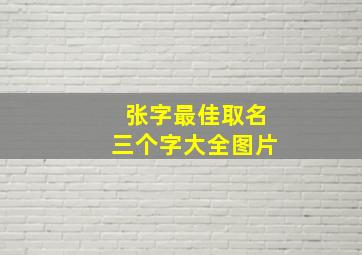 张字最佳取名三个字大全图片