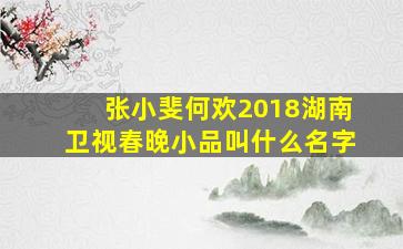 张小斐何欢2018湖南卫视春晚小品叫什么名字