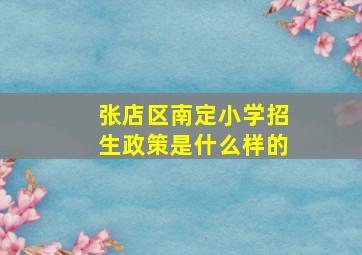 张店区南定小学招生政策是什么样的