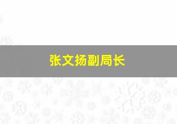 张文扬副局长