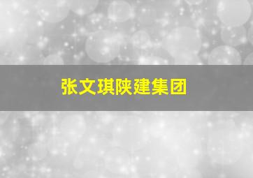 张文琪陕建集团