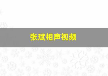 张斌相声视频