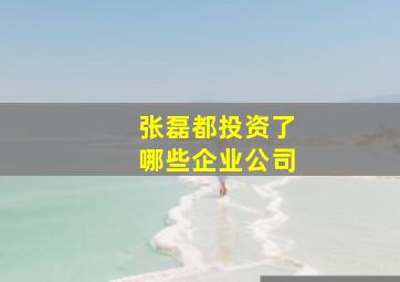 张磊都投资了哪些企业公司