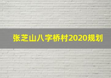 张芝山八字桥村2020规划