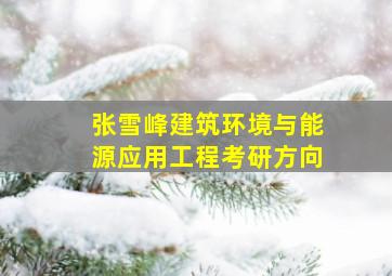 张雪峰建筑环境与能源应用工程考研方向