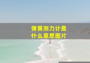 弹簧测力计是什么意思图片