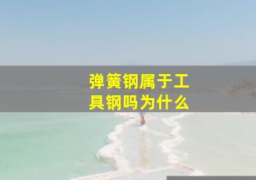 弹簧钢属于工具钢吗为什么