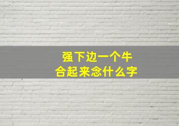 强下边一个牛合起来念什么字