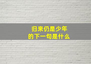 归来仍是少年的下一句是什么