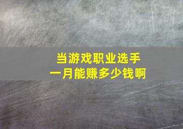 当游戏职业选手一月能赚多少钱啊