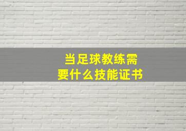 当足球教练需要什么技能证书