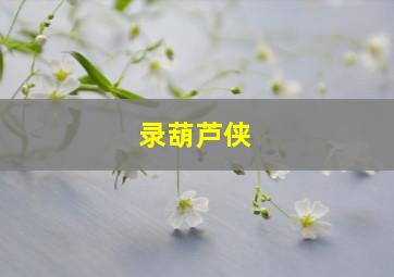 录葫芦侠