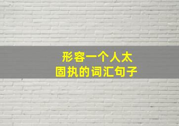 形容一个人太固执的词汇句子