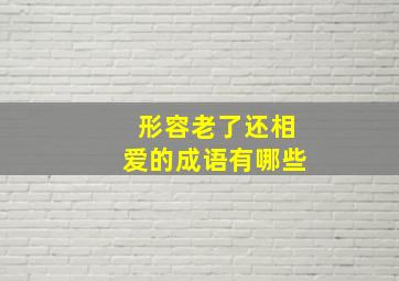 形容老了还相爱的成语有哪些