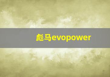 彪马evopower