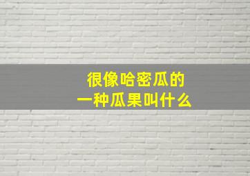 很像哈密瓜的一种瓜果叫什么