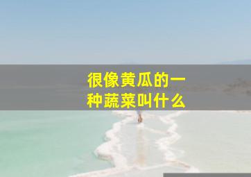 很像黄瓜的一种蔬菜叫什么