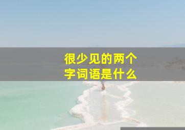 很少见的两个字词语是什么