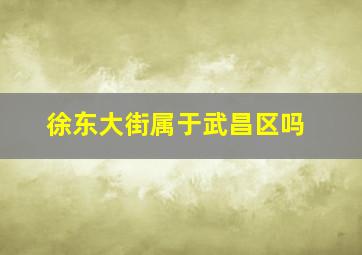 徐东大街属于武昌区吗