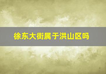 徐东大街属于洪山区吗