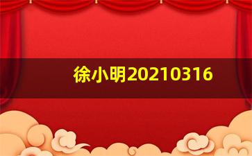 徐小明20210316