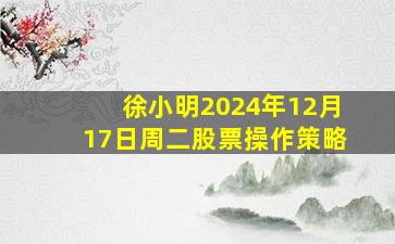 徐小明2024年12月17日周二股票操作策略