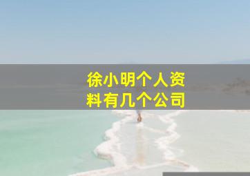 徐小明个人资料有几个公司