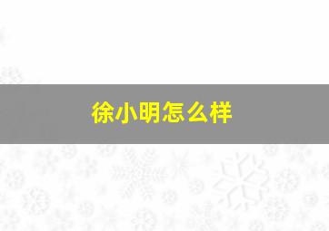 徐小明怎么样