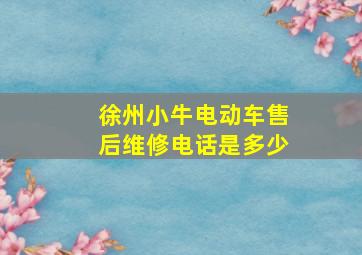 徐州小牛电动车售后维修电话是多少