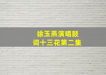 徐玉燕演唱鼓词十三花第二集