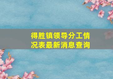 得胜镇领导分工情况表最新消息查询